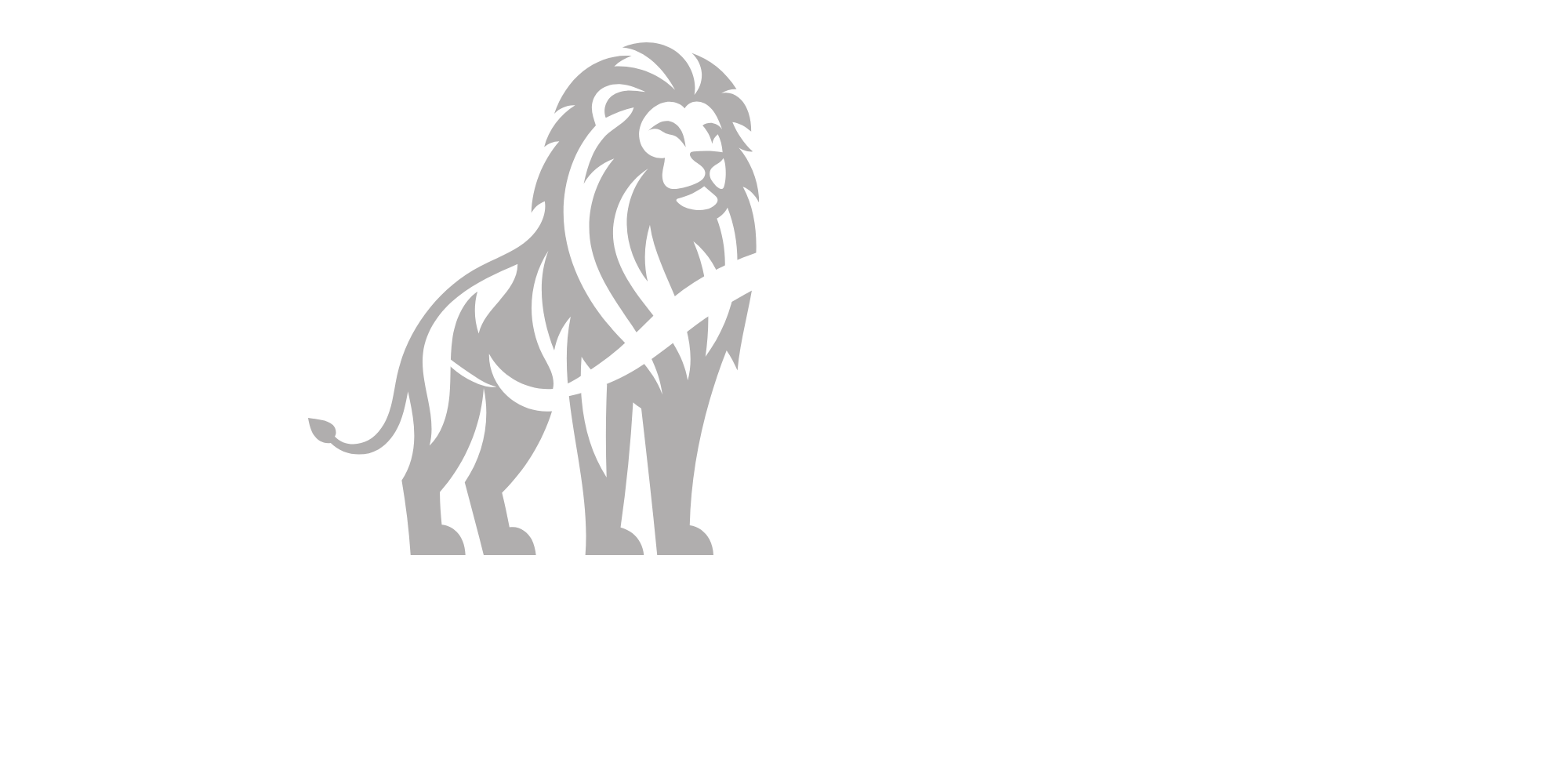 LSF | Lion Star Fund